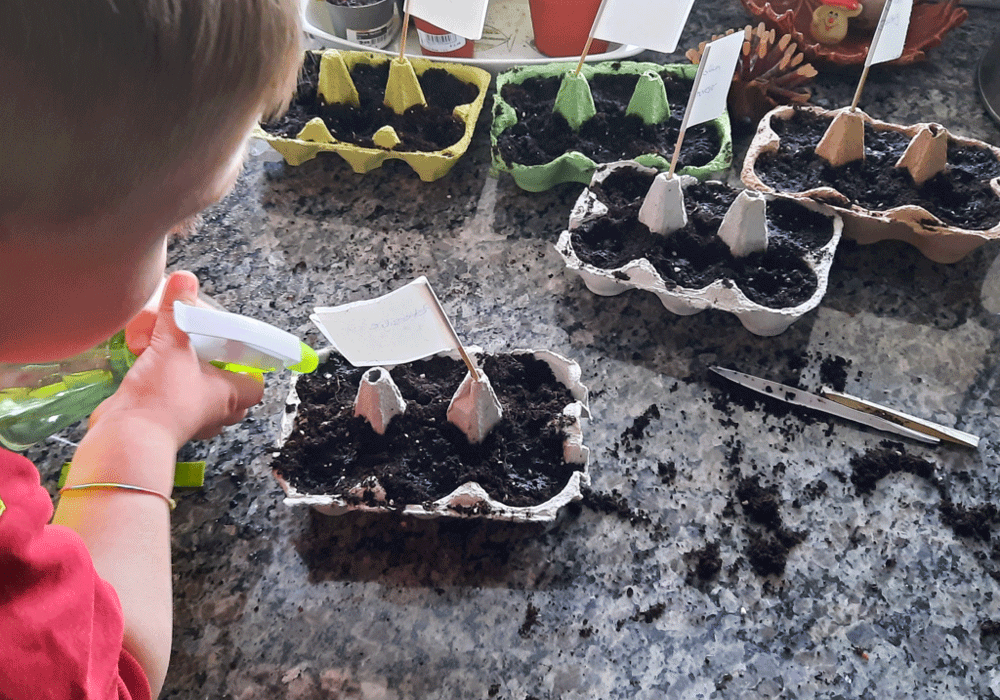 Mit Kindern Tomaten anbauen - Tomatenanzucht