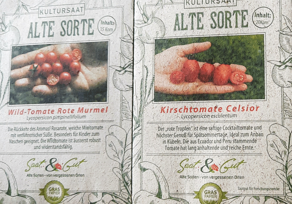 Mit Kindern Tomaten anbauen - Verwendete Tomatensorten
