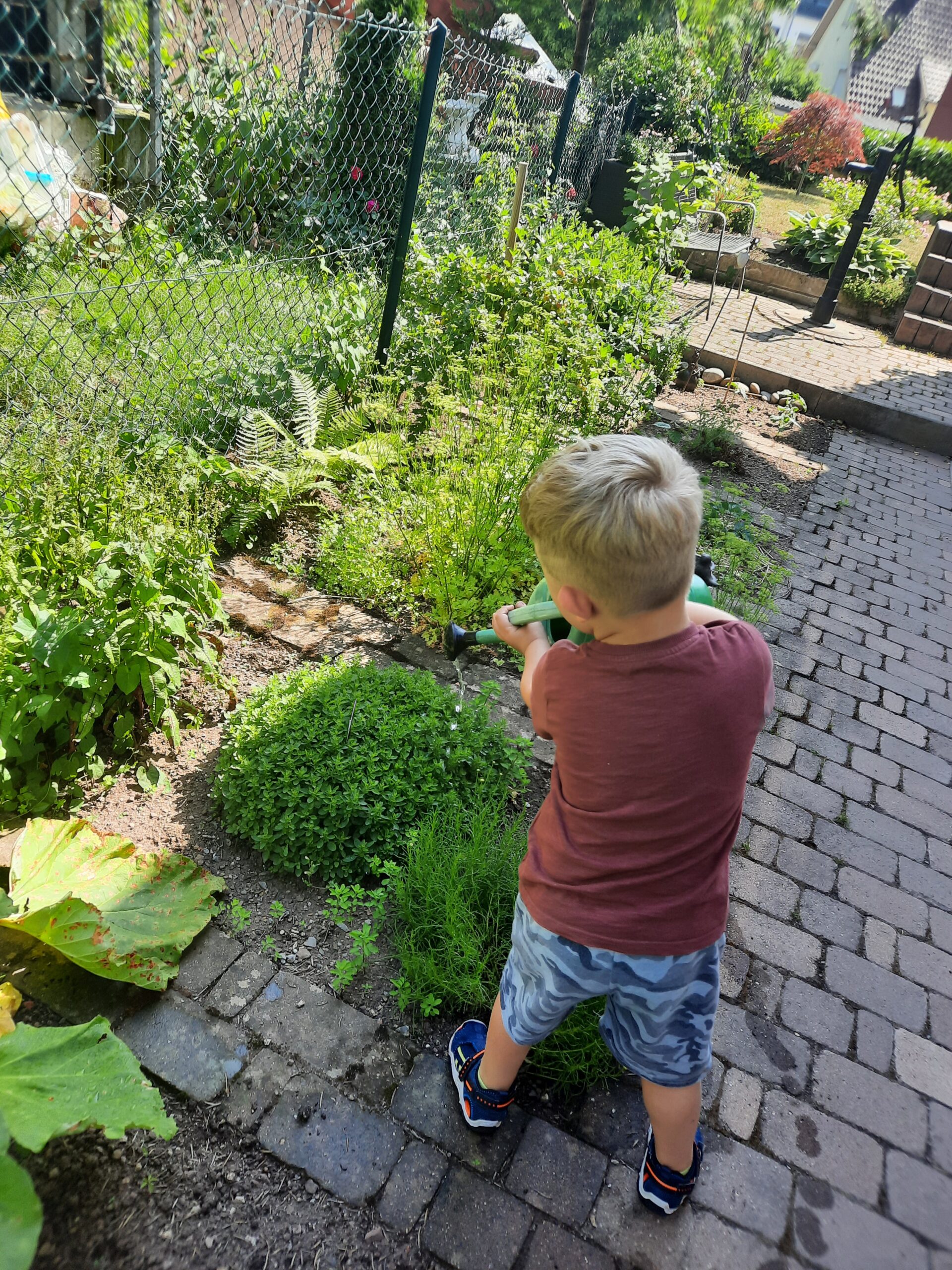 Kinder fürs Gärtnern begeistern